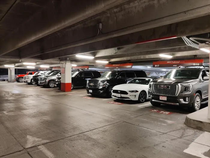 Avis Car Rental Picture 5