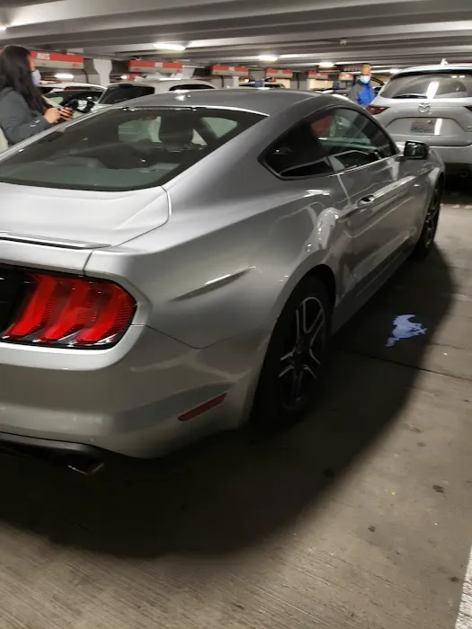 Avis Car Rental Picture 2