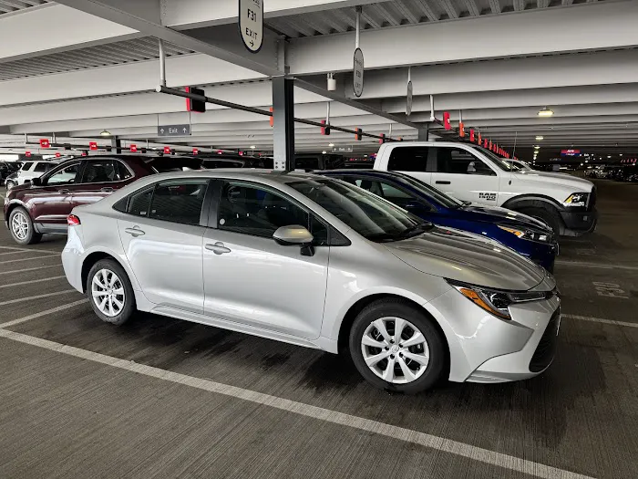 Avis Car Rental Picture 8