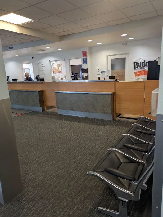 Budget Car Rental Picture 3