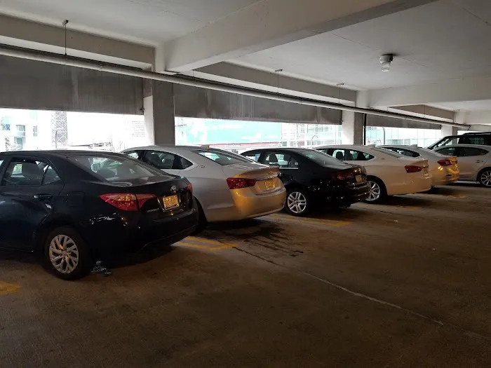 Budget Car Rental Picture 4