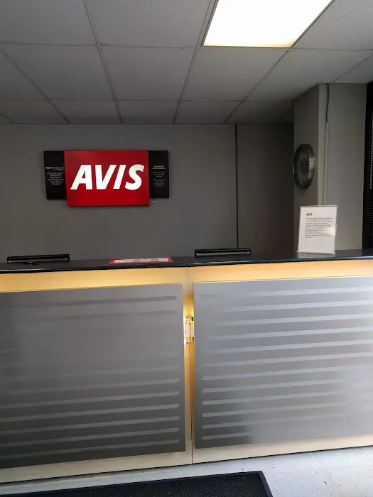 Avis Car Rental Picture 2