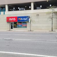 Avis Car Rental ico