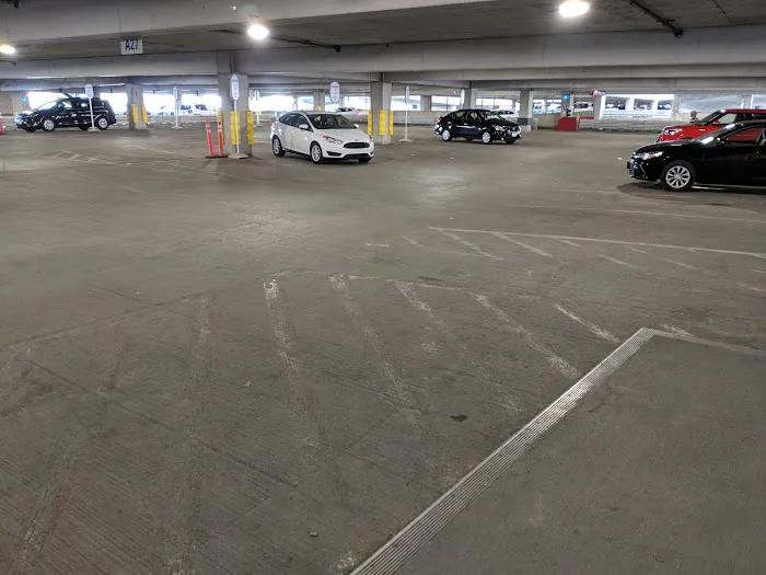 Payless Car Rental Picture 2