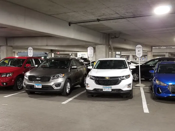 Payless Car Rental Picture 3