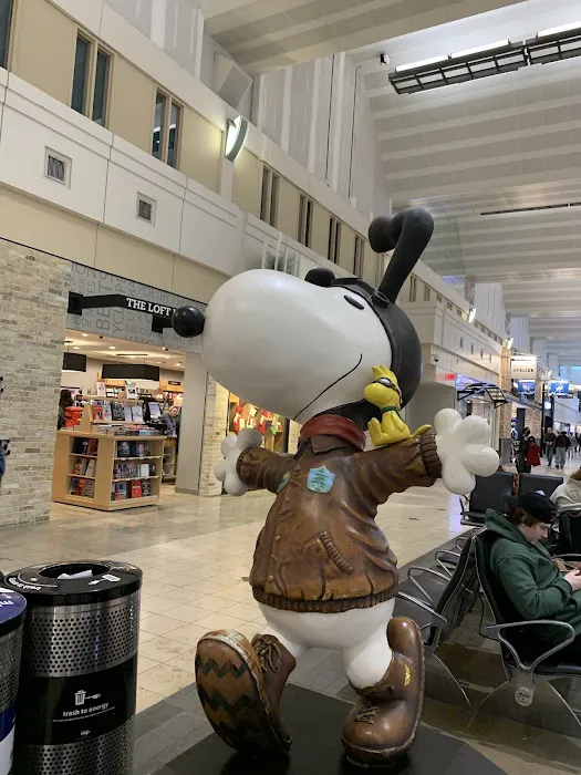 MSP Airport Rent a Car Picture 5