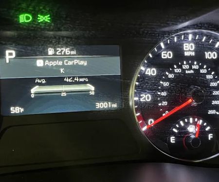Avis Car Rental