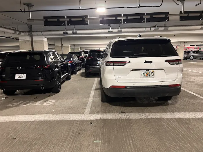 Avis Car Rental Picture 6