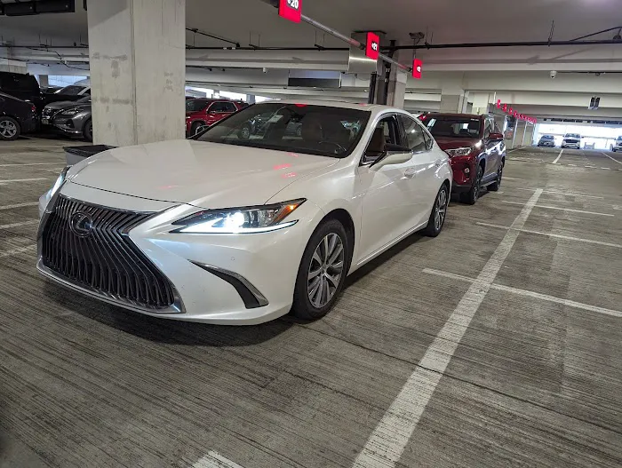 Avis Car Rental Picture 10