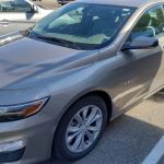 Avis Car Rental