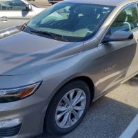 Avis Car Rental ico