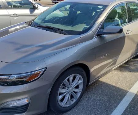 Avis Car Rental