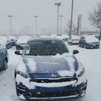 Dimmples Car Rentals ico