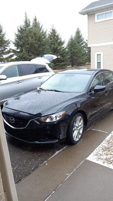 Dimmples Car Rentals Picture 5