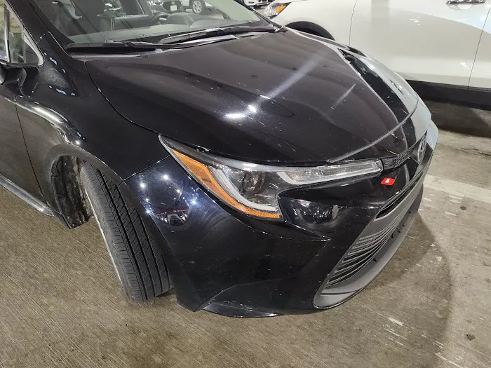 Budget Car Rental Picture 10