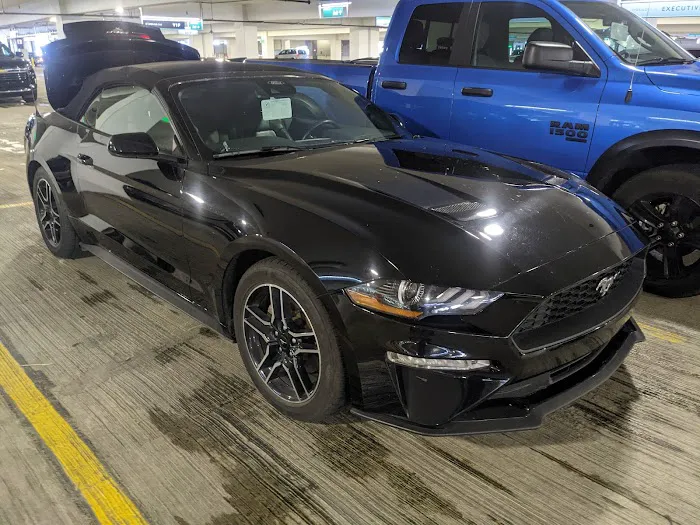 National Car Rental Picture 5