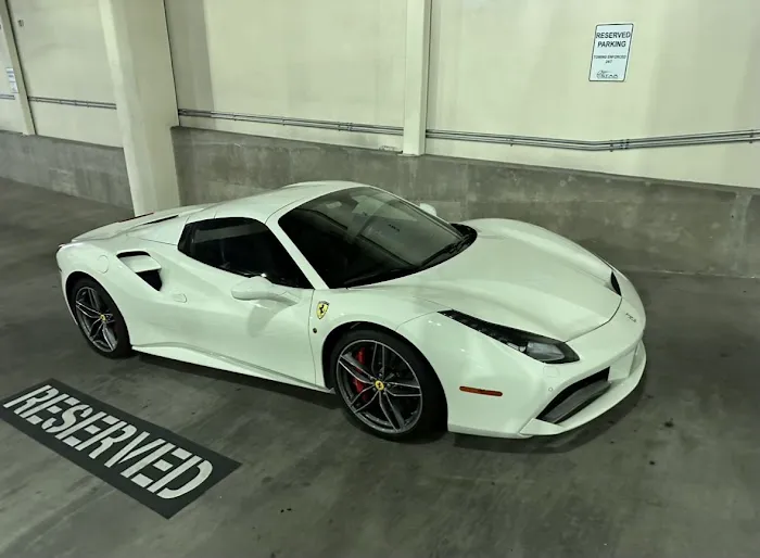 Black Label Exotics Picture 5