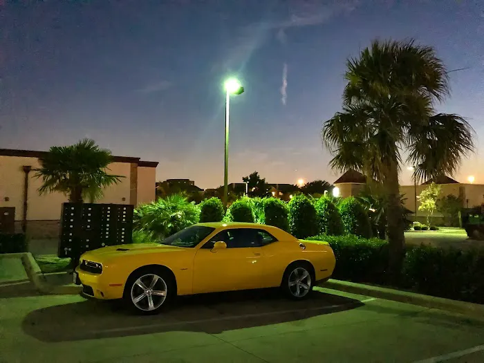 Alamo Rent A Car Picture 1