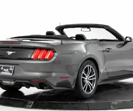 Executive Class Rentals