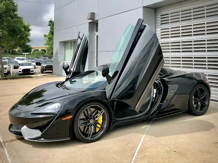 Foreign Oxygen Luxury Car Rental Picture 6