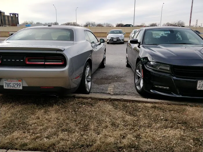 Avis Car Rental Picture 10