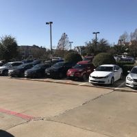 Budget Car Rental ico