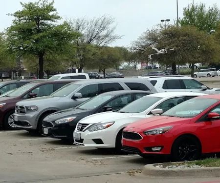 Avis Car Rental