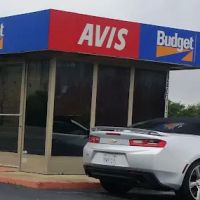 Avis Car Rental ico