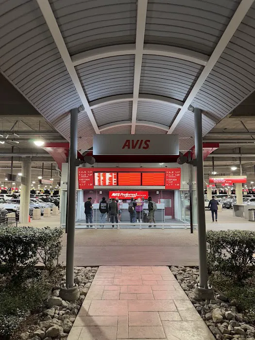 Avis Car Rental Picture 4
