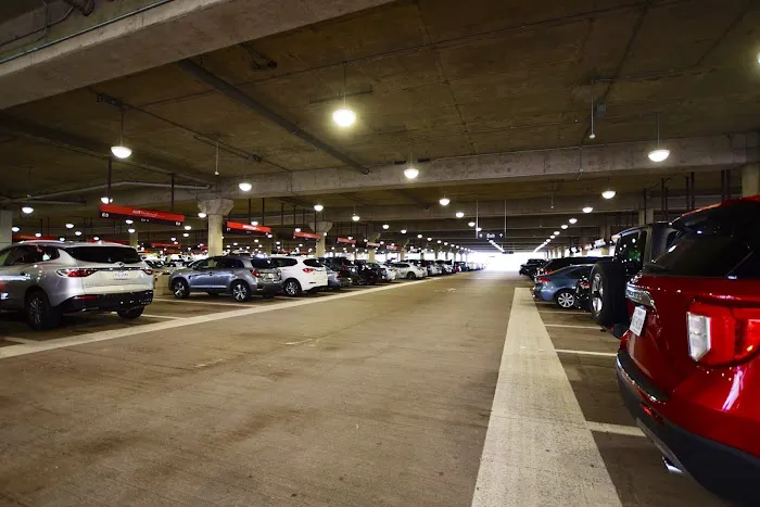 Avis Car Rental Picture 6