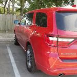 Avis Car Rental