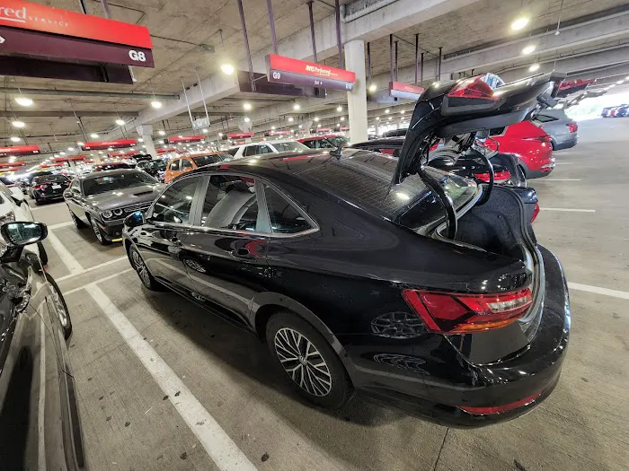 Payless Car Rental Picture 1