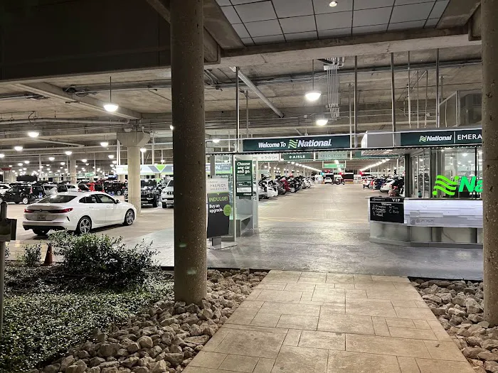 Alamo Rent A Car Picture 3