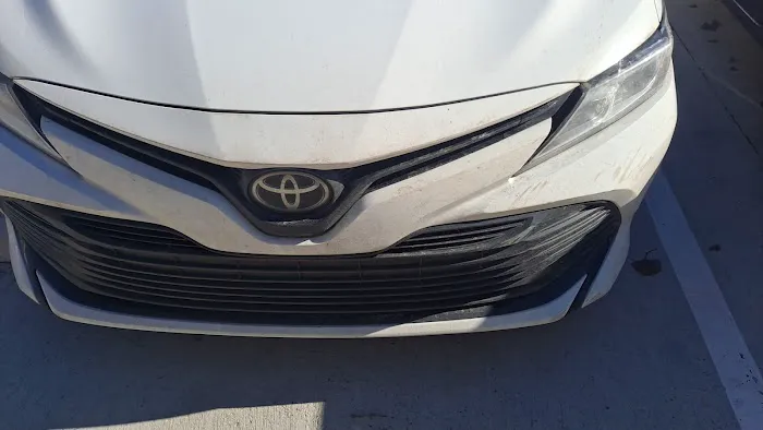 Budget Car Rental Picture 1