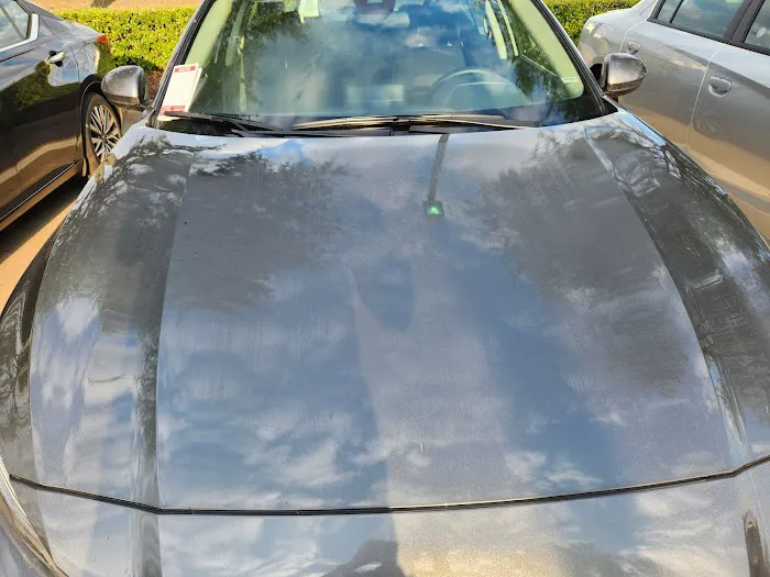 Avis Car Rental Picture 6