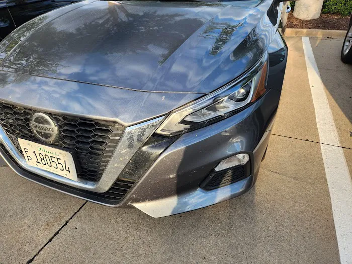 Avis Car Rental Picture 8