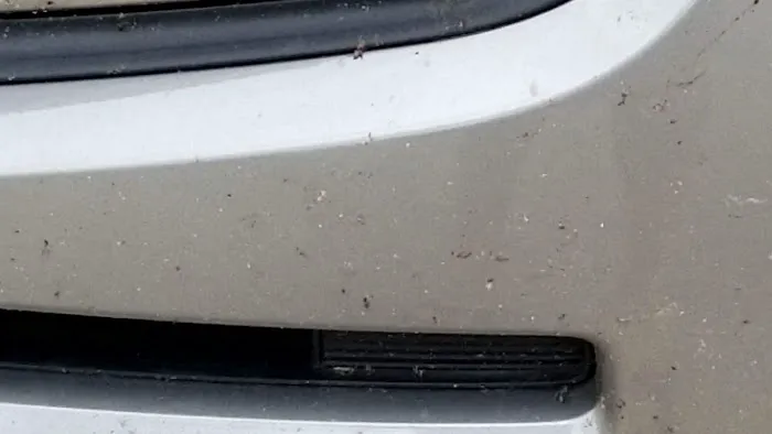 Budget Car Rental Picture 7