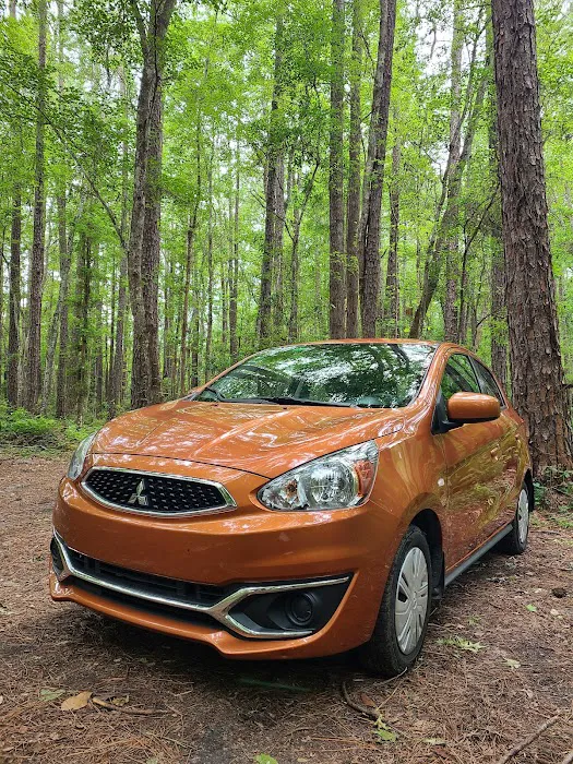 Thrifty Car Rental Picture 1