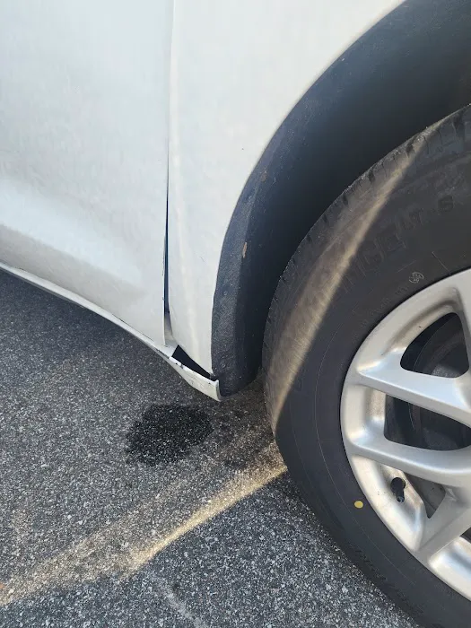 Avis Car Rental Picture 8