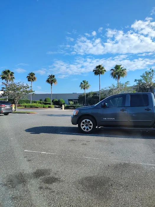 Budget Car Rental Picture 4
