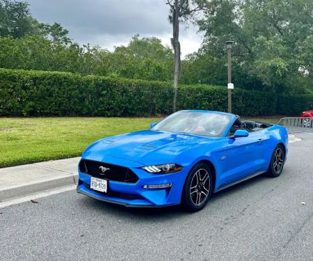 Alamo Rent A Car
