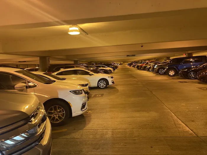 Avis Car Rental Picture 7