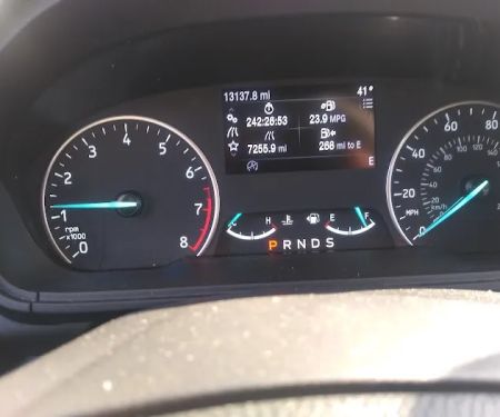 Budget Car Rental