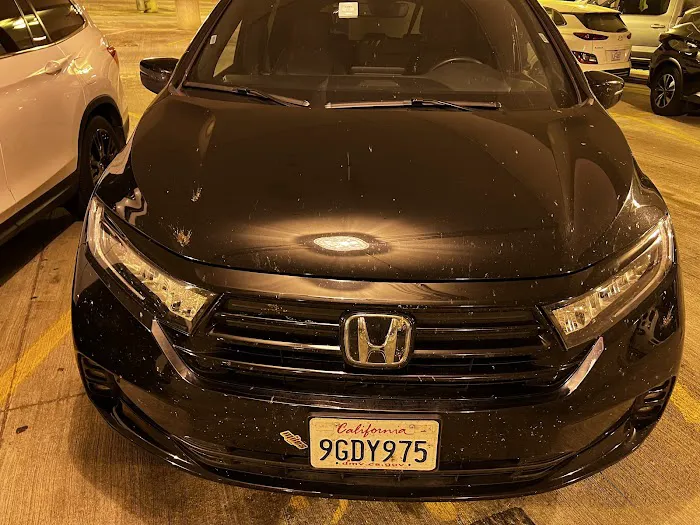 Budget Car Rental Picture 6