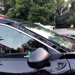Avis Car Rental