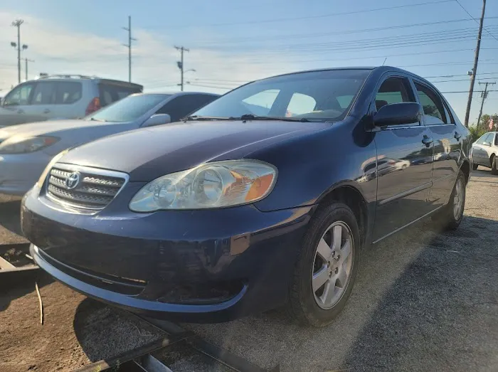 Economy Car Rental Picture 1