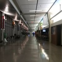 Payless Car Rental ico