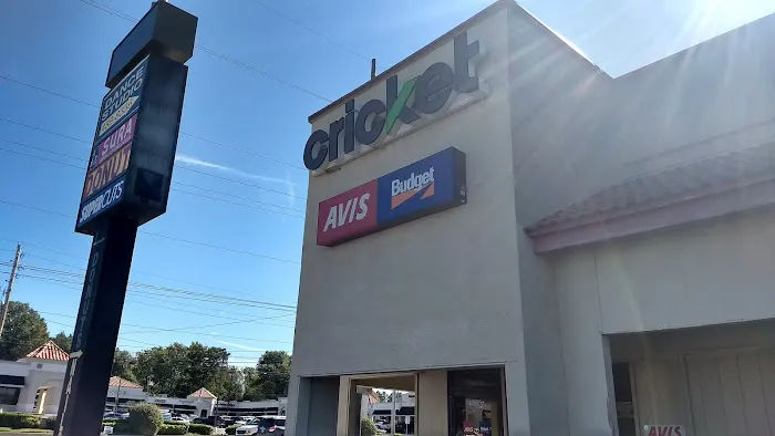 Avis Car Rental Picture 1