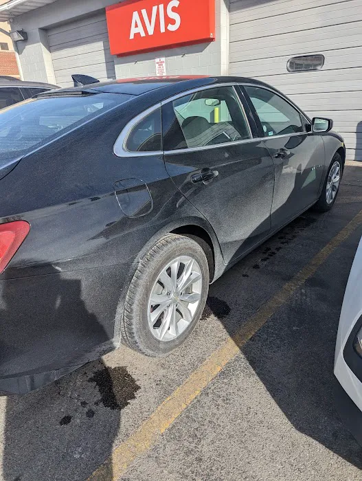 Avis Car Rental Picture 4
