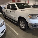 Avis Car Rental